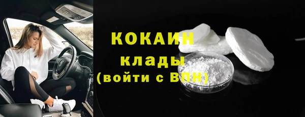 мдпв Козельск