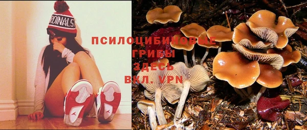 трава Козловка