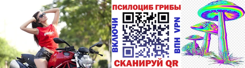 Галлюциногенные грибы Magic Shrooms  ссылка на мегу рабочий сайт  Костерёво 
